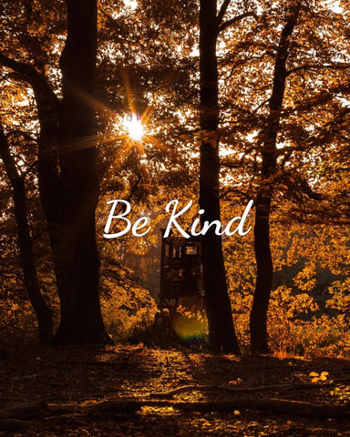 Thoughts on Kindness